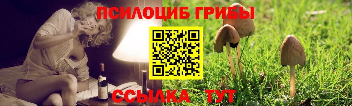 Ртищево  Галлюциногенные грибы мухоморы  Вход с VPN 