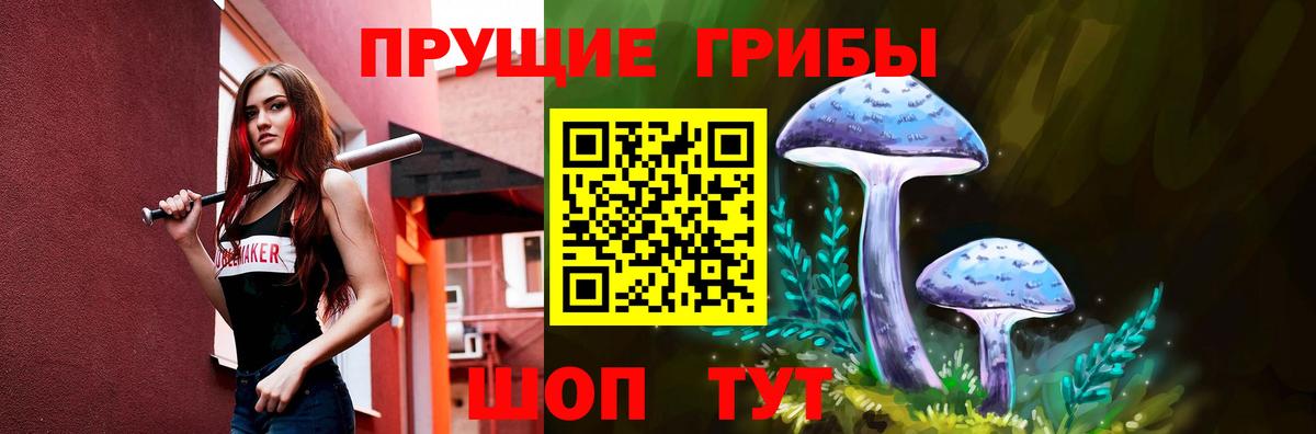 Галлюциногенные грибы Cubensis Ртищево
